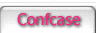 VS conference case
