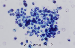 図13