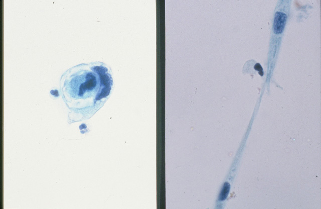 Fig.19（拡大）