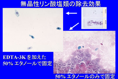 fig11